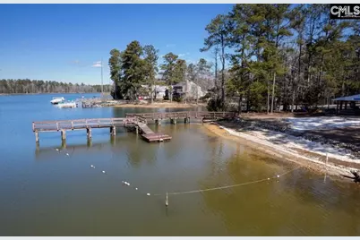 195 Lexington Lane, Chapin, SC 29036 - Photo 44