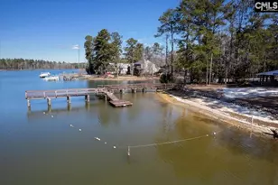 195 Lexington Ln, Chapin, SC 29036 - Photo 44