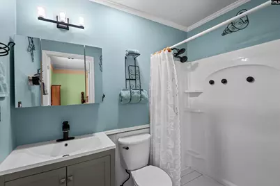 195 Lexington Lane, Chapin, SC 29036 - Photo 16