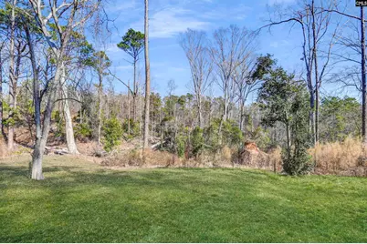 702 Hope Ferry Road, Lexington, SC 29072 - Photo 38