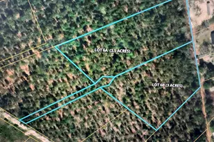 06B Otis Baughman S R Rd, Wagener, SC 29164 - Photo 1