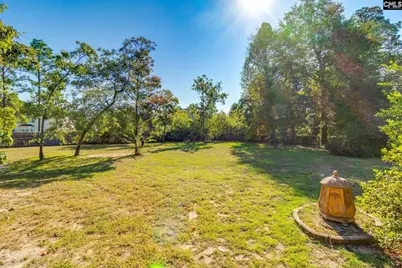 307 Bally Bunion Lane, Columbia, SC 29229 - Photo 62