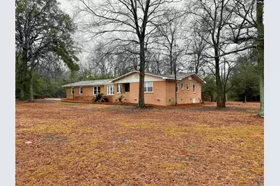 960 Old Charleston Road, Pelion, SC 29123 - Photo 2