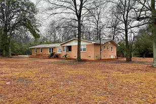 960 Old Charleston Rd, Pelion, SC 29123 - Photo 2