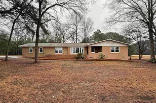 960 Old Charleston Rd, Pelion, SC 29123 - Photo 1