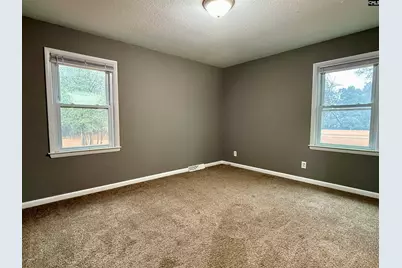 960 Old Charleston Road, Pelion, SC 29123 - Photo 20