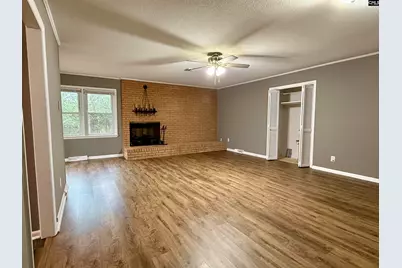 960 Old Charleston Road, Pelion, SC 29123 - Photo 16