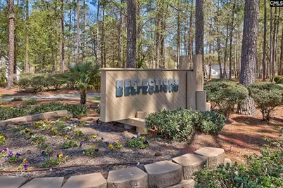 46 Woodwind Court, Columbia, SC 29209 - Photo 42