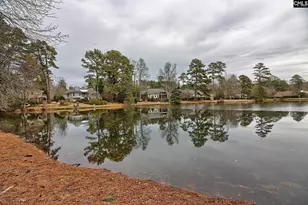 46 Woodwind Ct, Columbia, SC 29209 - Photo 66