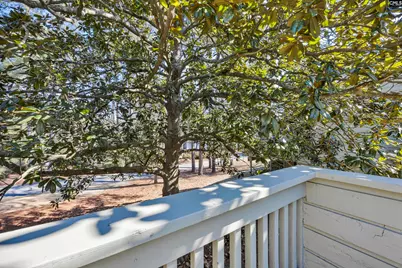 46 Woodwind Court, Columbia, SC 29209 - Photo 20