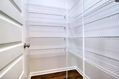 1425 Tamarind Lane, Chapin, SC 29036 - Photo 8