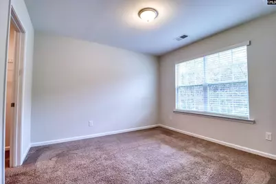 1425 Tamarind Lane, Chapin, SC 29036 - Photo 16