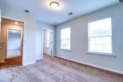 1425 Tamarind Lane, Chapin, SC 29036 - Photo 18