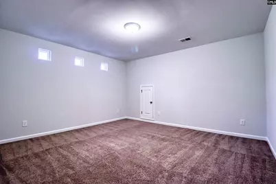 1355 Tamarind Lane, Chapin, SC 29036 - Photo 16