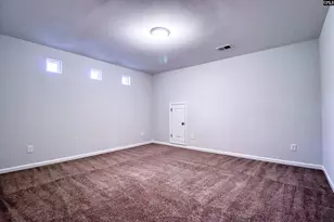 1355 Tamarind Ln, Chapin, SC 29036 - Photo 16