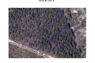 03 Otis Baughman S R Rd, Wagener, SC 29164 - Photo 1