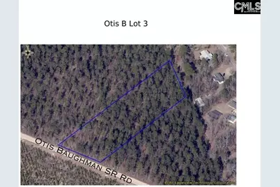 03 Otis Baughman S.R. Road, Wagener, SC 29164 - Photo 2