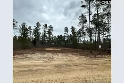 03 Otis Baughman S.R. Road, Wagener, SC 29164 - Photo 1
