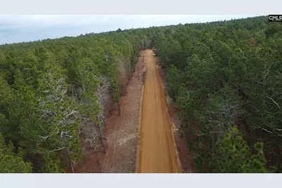 Tbd Windsong Lane 16 #16, Pelion, SC 29123 - Photo 6