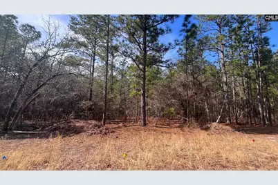 Tbd Windsong Lane 16 #16, Pelion, SC 29123 - Photo 10