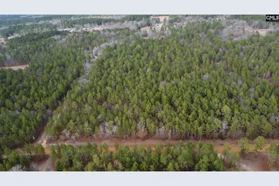 Tbd Windsong Lane 16 #16, Pelion, SC 29123 - Photo 4