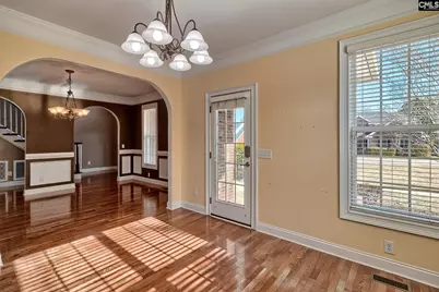 24 Clay Court, Chapin, SC 29036 - Photo 16