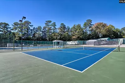 24 Clay Court, Chapin, SC 29036 - Photo 68