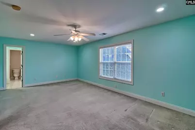 24 Clay Court, Chapin, SC 29036 - Photo 48