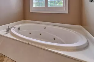 24 Clay Ct, Chapin, SC 29036 - Photo 38