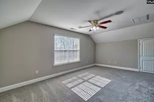 208 Woolbright Ln, Chapin, SC 29036 - Photo 52