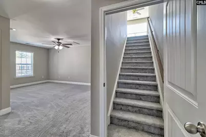 208 Woolbright Lane, Chapin, SC 29036 - Photo 50