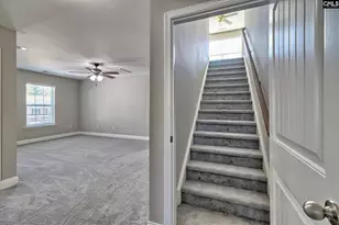 208 Woolbright Ln, Chapin, SC 29036 - Photo 50