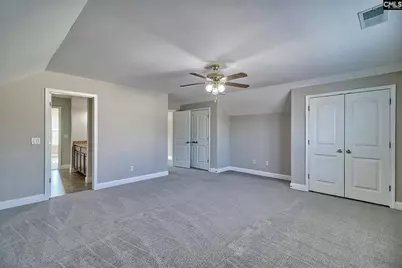 208 Woolbright Lane, Chapin, SC 29036 - Photo 54