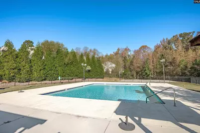 208 Woolbright Lane, Chapin, SC 29036 - Photo 62