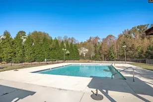 208 Woolbright Ln, Chapin, SC 29036 - Photo 62