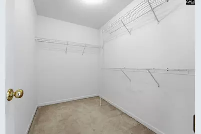 321 Delaine Woods Drive, Irmo, SC 29063 - Photo 38