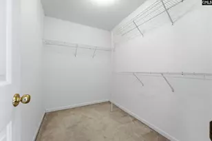 321 Delaine Woods Dr, Irmo, SC 29063 - Photo 38