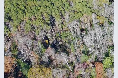 Tbd Old Catholic Church Road, Richburg, SC 29729 - Photo 16