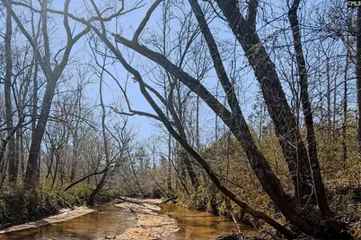 Tbd Old Catholic Church Road, Richburg, SC 29729 - Photo 6