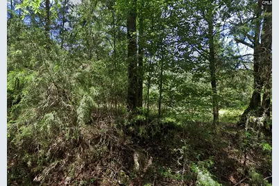 Tbd Old Catholic Church Road, Richburg, SC 29729 - Photo 12