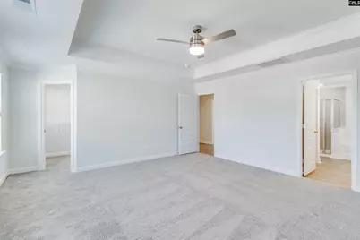 419 Rising Stream Way, Chapin, SC 29036 - Photo 20