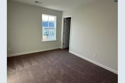 419 Rising Stream Way, Chapin, SC 29036 - Photo 12