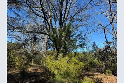 Hwy 252, Laurens, SC 29360 - Photo 16
