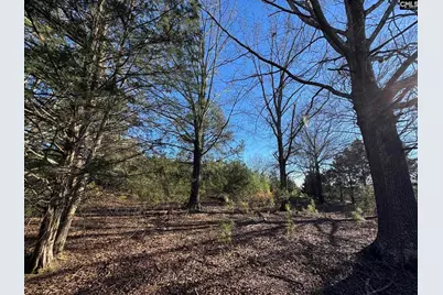 Hwy 252, Laurens, SC 29360 - Photo 4