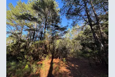 Hwy 252, Laurens, SC 29360 - Photo 18