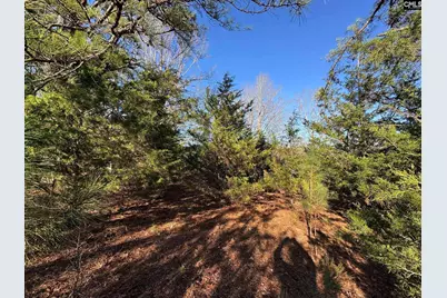 Hwy 252, Laurens, SC 29360 - Photo 32