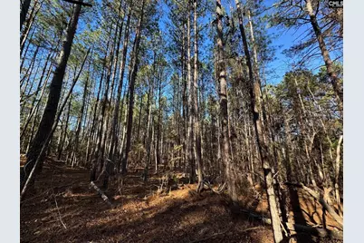 Hwy 252, Laurens, SC 29360 - Photo 22