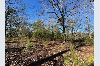 Hwy 252, Laurens, SC 29360 - Photo 50