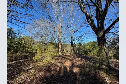 Hwy 252, Laurens, SC 29360 - Photo 42