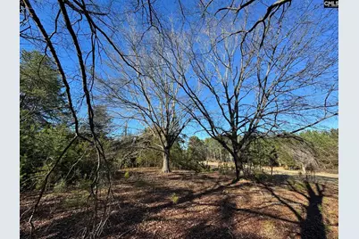 Hwy 252, Laurens, SC 29360 - Photo 2